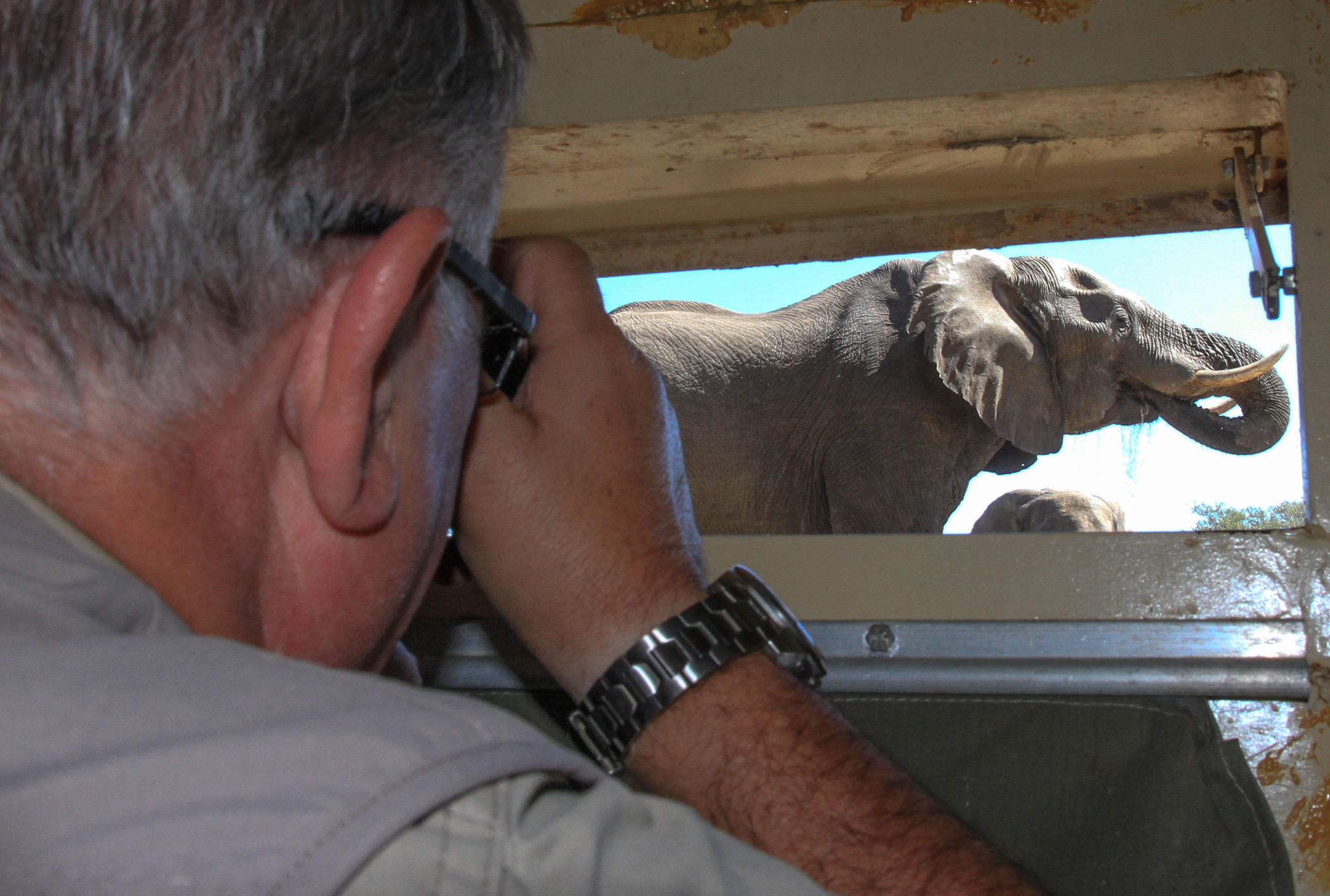 Bomani Tented Lodge thumbnail 3